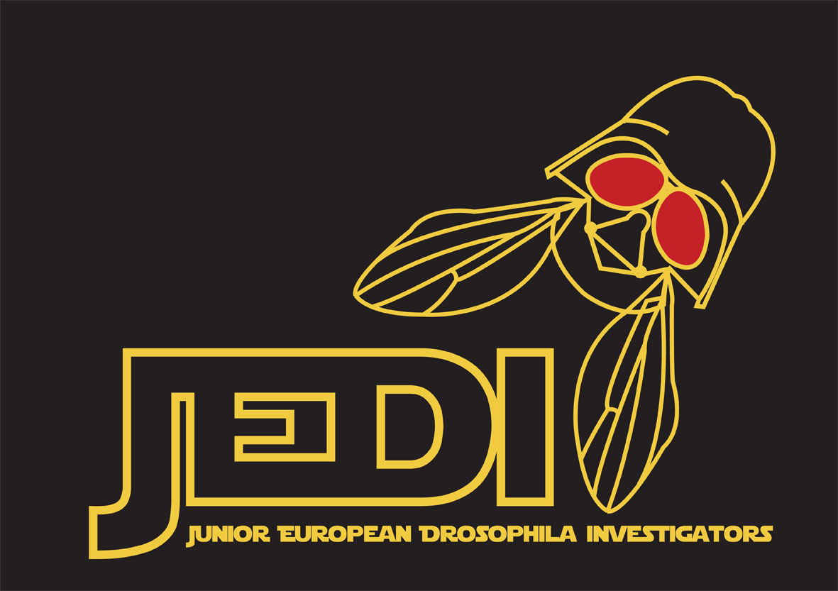 JEDI logo