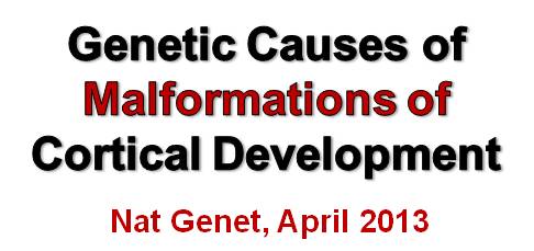 Announcement Nature Genetics Paper April 2013