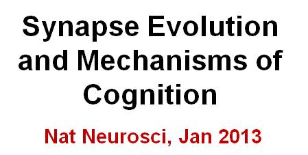 Link to Nature Neuroscience Paper 2012